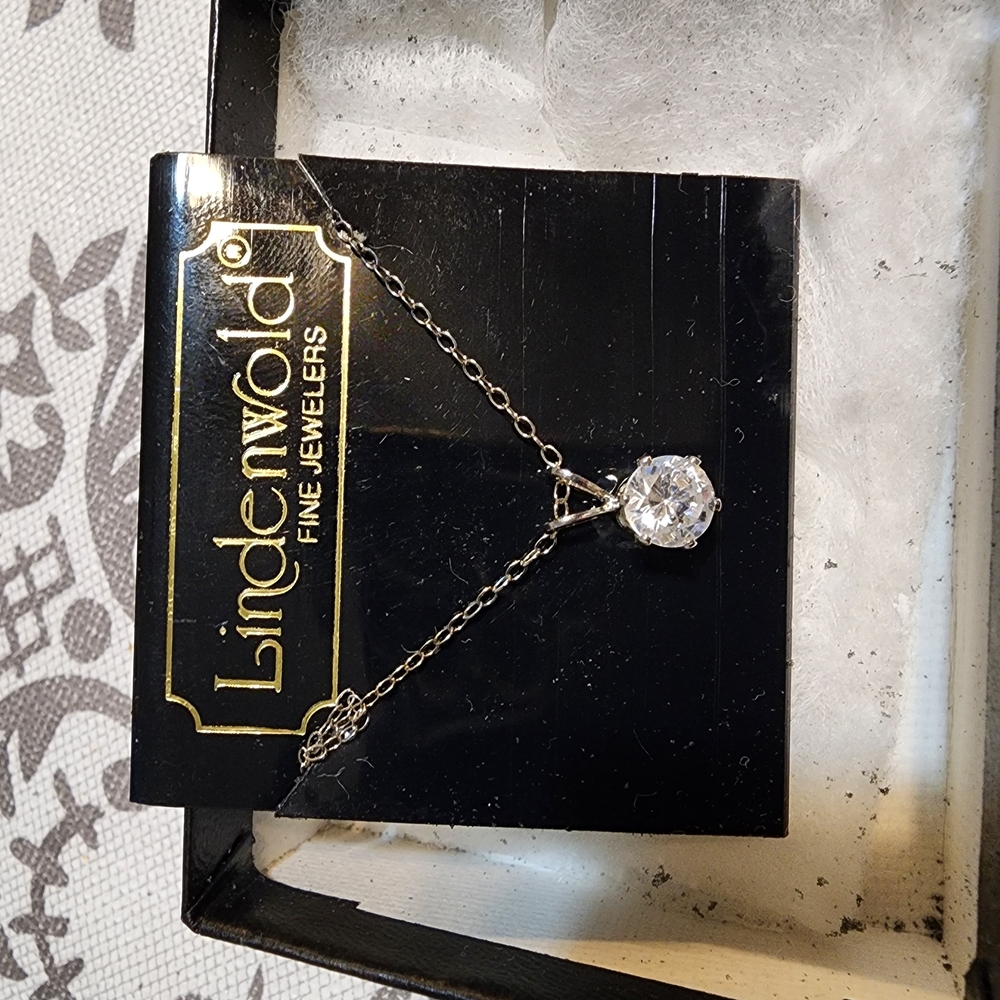 Linden Silver Necklace with Clear Pendant